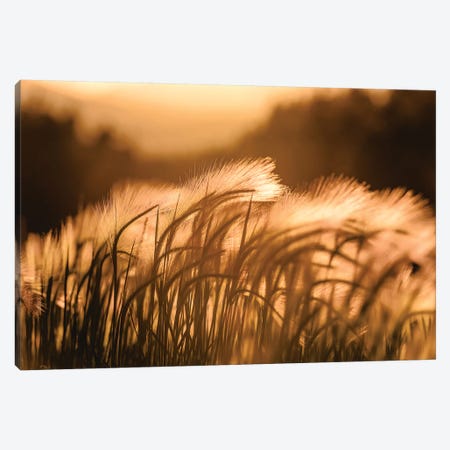 Summer Sunset Vintage Field Adventure Canvas Print #MGK451} by Nature Magick Canvas Print