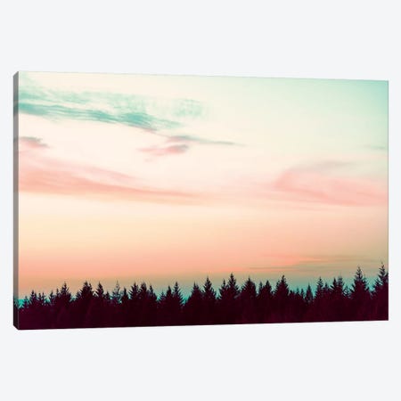 Sunset Over The Pines Canvas Print #MGK452} by Nature Magick Art Print