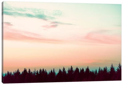 Sunset Over The Pines Canvas Art Print - Virtual Escapism