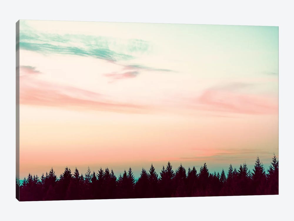 Sunset Over The Pines by Nature Magick 1-piece Canvas Wall Art