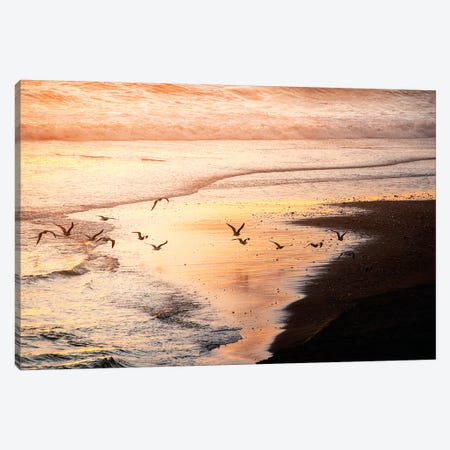 Sunset Seagulls and Pacific Ocean II Canvas Print #MGK453} by Nature Magick Canvas Print