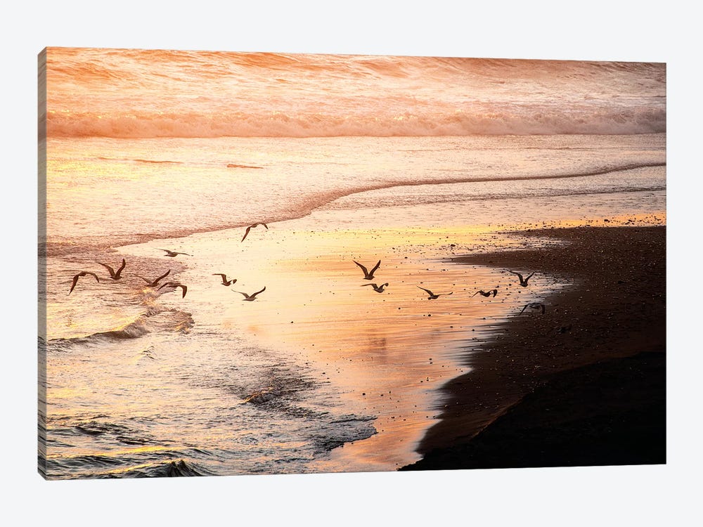 Sunset Seagulls and Pacific Ocean II by Nature Magick 1-piece Canvas Art Print