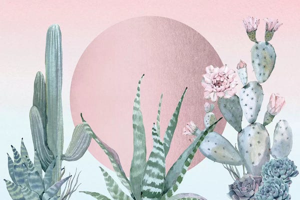 Succulents: Desert Sunset III by Nature Magick