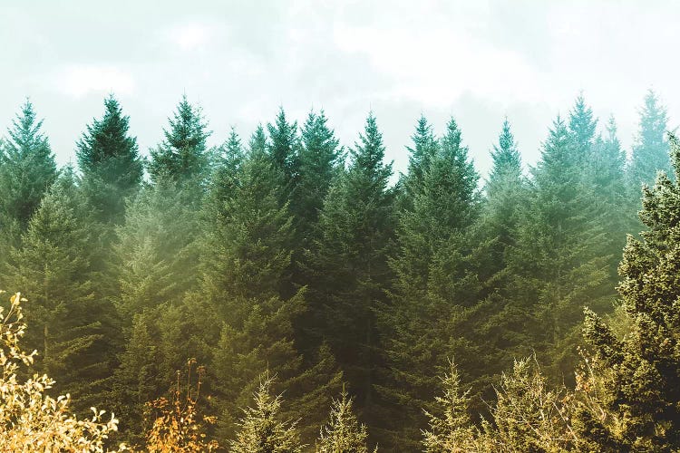 Vintage Green Treescape