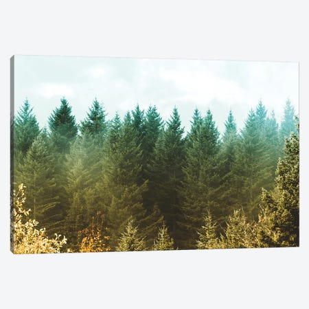 Vintage Green Treescape Canvas Print #MGK478} by Nature Magick Art Print