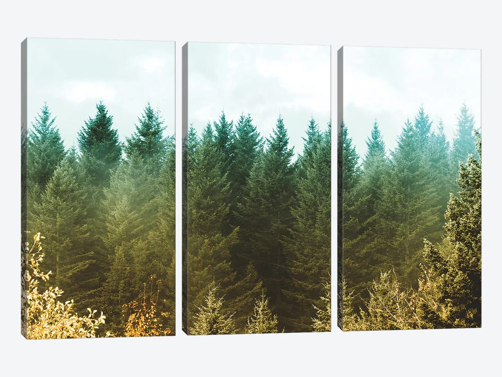 Vintage Green Treescape by Nature Magick 3-piece Canvas Artwork