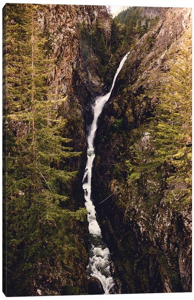 Waterfall Forest River Pacific Northwest Canvas Art Print - Adventure Art