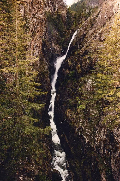 Waterfall Forest River Pacific Northwest