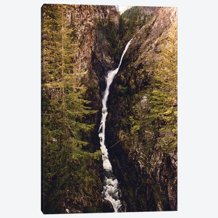 Waterfall Forest River Pacific Northwest Canvas Print #MGK484} by Nature Magick Art Print