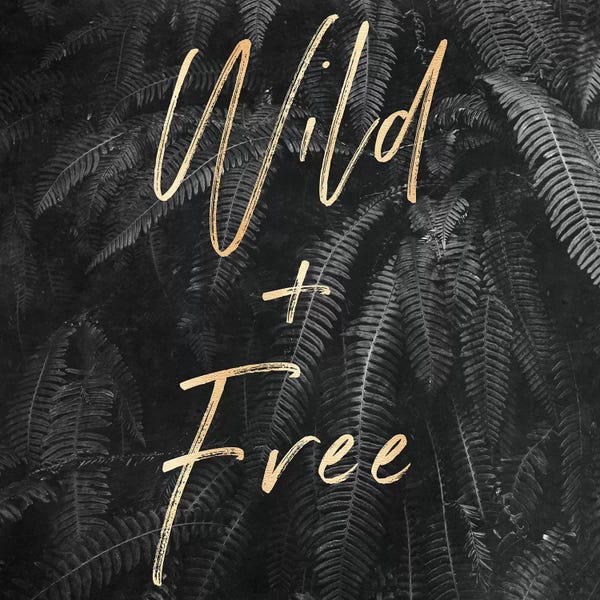 Ferns: Wild and Free In Gray Ferns Square by Nature Magick