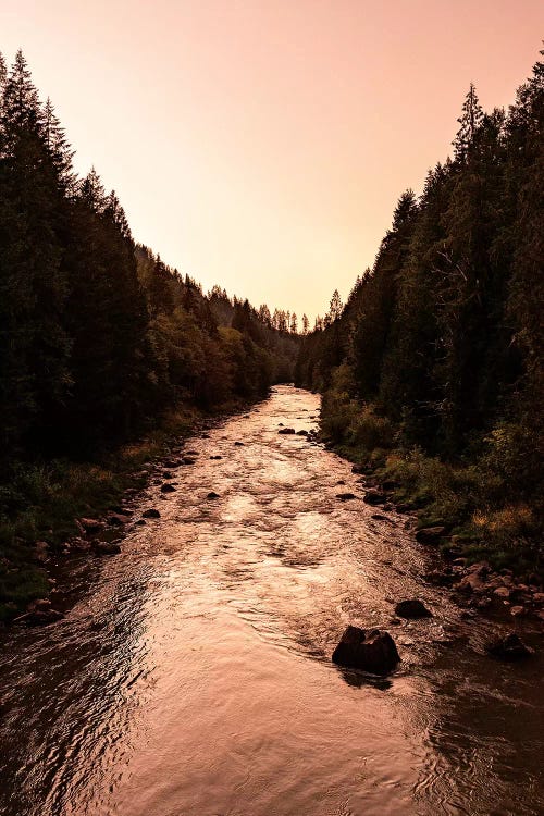 Wild Forest River Sunset