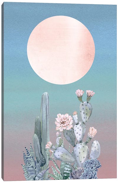 Desert Twilight II Canvas Art Print - Nature Magick