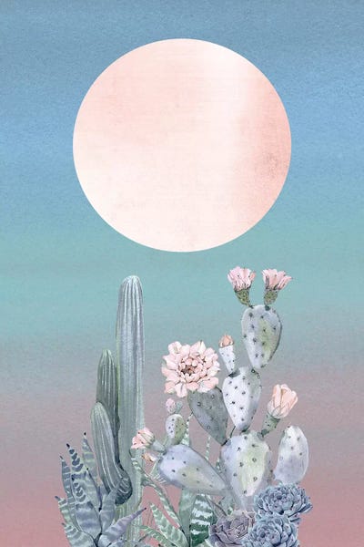 Cacti: Desert Twilight II by Nature Magick