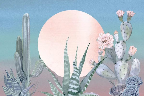 Succulents: Desert Twilight III by Nature Magick
