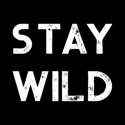 Stay Wild Vintage Adventure by Nature Magick framed canvas print