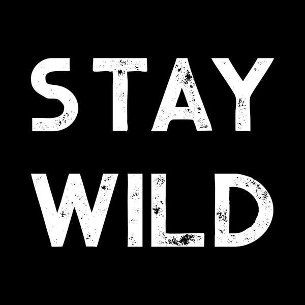 Stay Wild Vintage Adventure