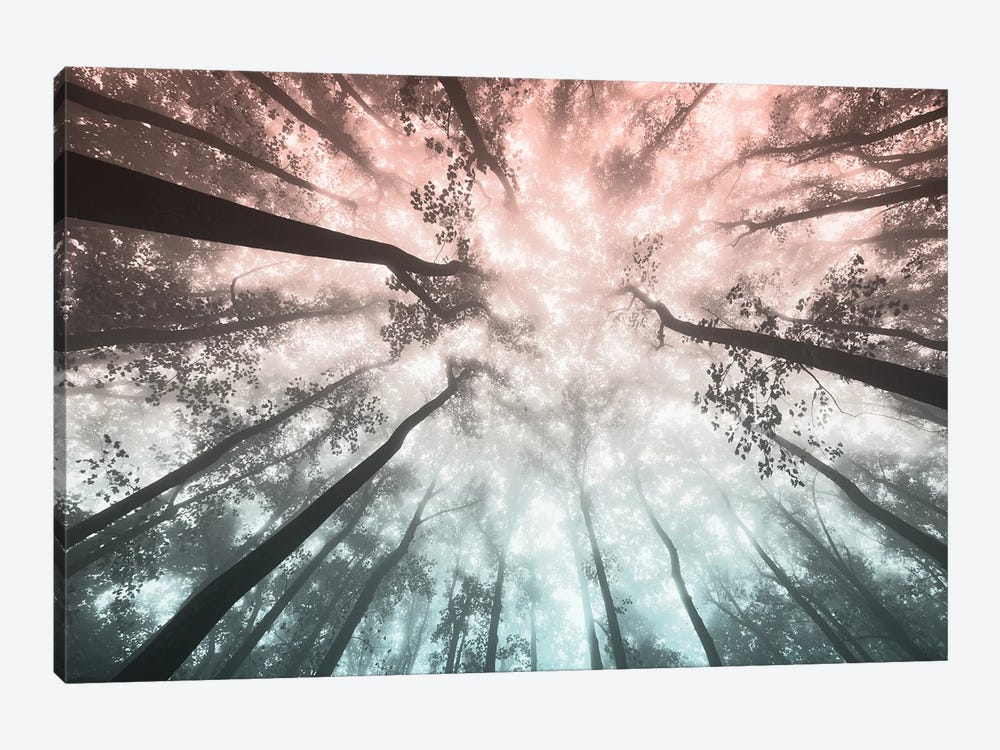 Forest Sky - Wanderlust Adventure by Nature Magick 1-piece Art Print