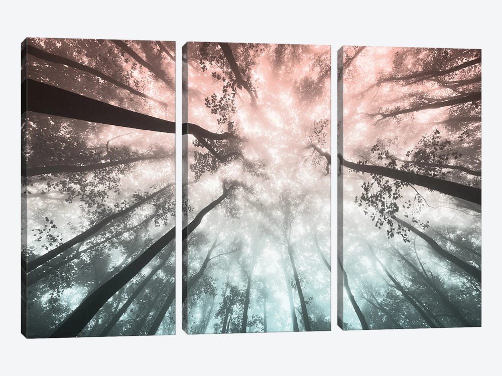 Forest Sky - Wanderlust Adventure by Nature Magick 3-piece Art Print
