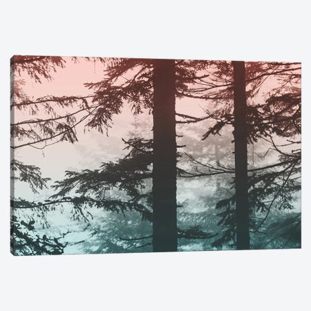 Into The Forest - Wanderlust Adventure Canvas Print #MGK513} by Nature Magick Canvas Art