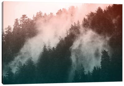 Redwood National Park Forest - Wanderlust Adventure Canvas Art Print - Atmospheric Photography