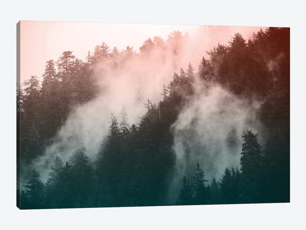 Redwood National Park Forest - Wanderlust Adventure by Nature Magick 1-piece Canvas Print