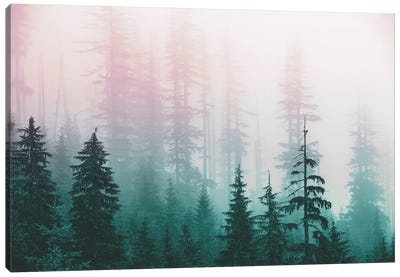 Pacific Northwest Forest - Wanderlust Adventure Canvas Art Print - Mist & Fog Art