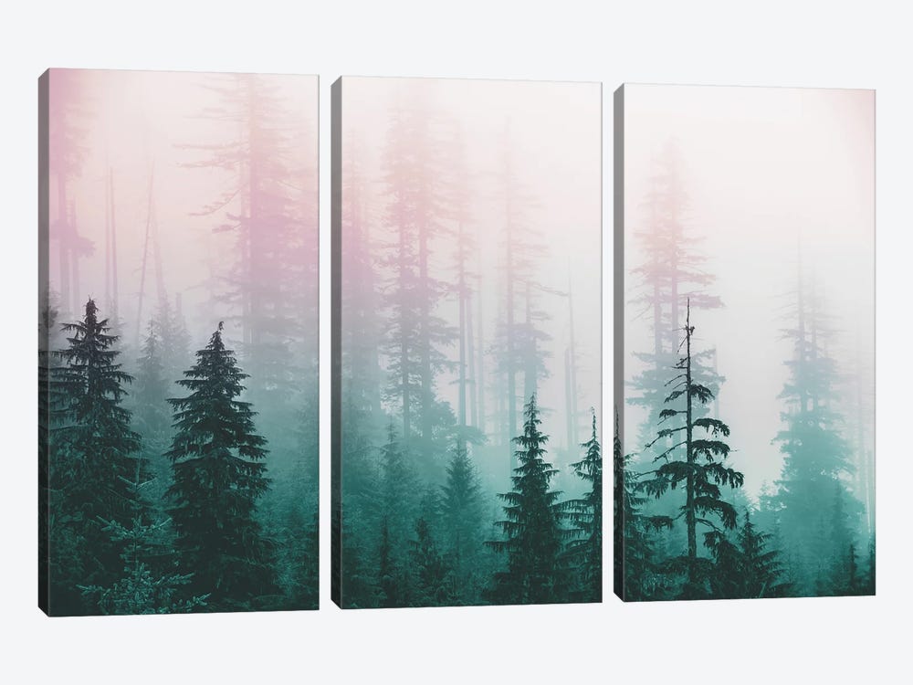Pacific Northwest Forest - Wanderlust Adventure by Nature Magick 3-piece Canvas Wall Art