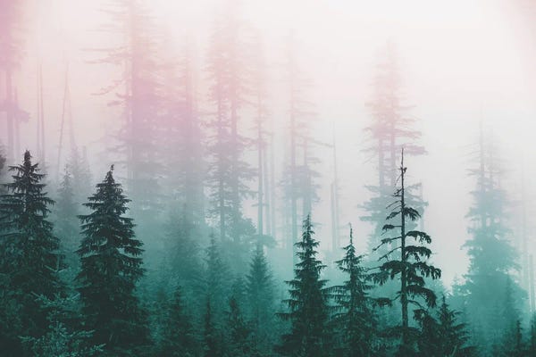 Nature Magick: Pacific Northwest Forest - Wanderlust Adventure by Nature Magick