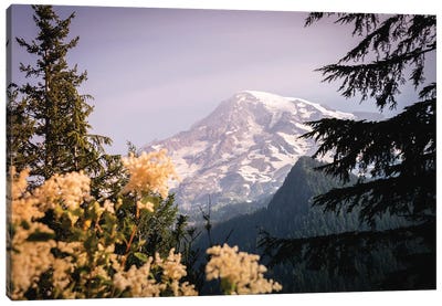 Mount Rainier National Park Wildflowers Canvas Art Print - Mount Rainier