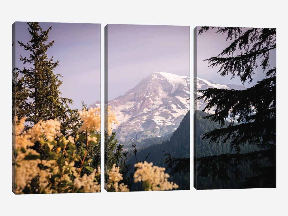 Mount Rainier National Park Wildflowers by Nature Magick 3-piece Art Print