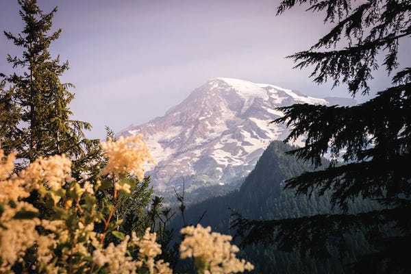 Cascade Range: Mount Rainier National Park Wildflowers by Nature Magick