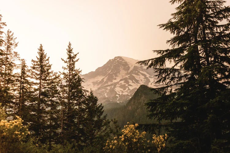 Mount Rainier National Park Wilderness by Nature Magick wall art