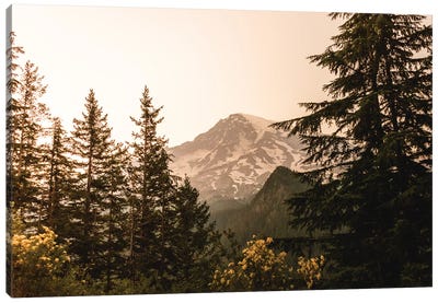 Mount Rainier National Park Wilderness Canvas Art Print - Mount Rainier