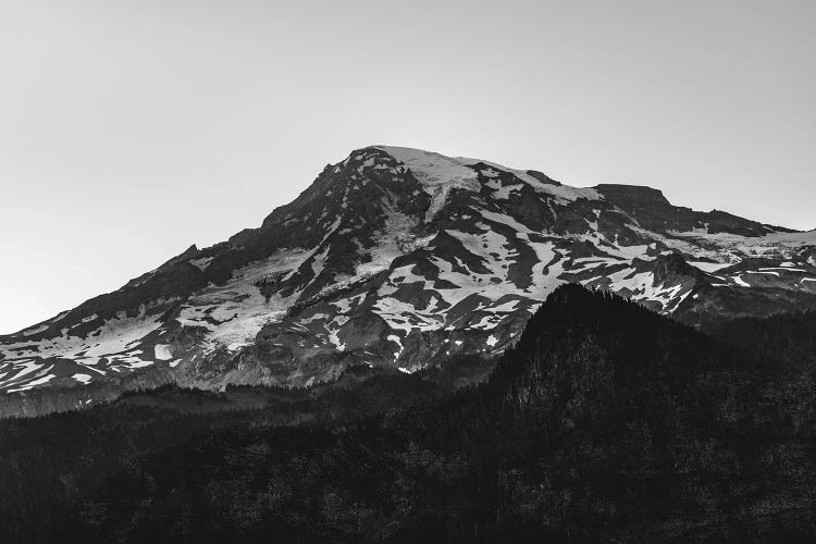 Mount Rainier National Park Black And White