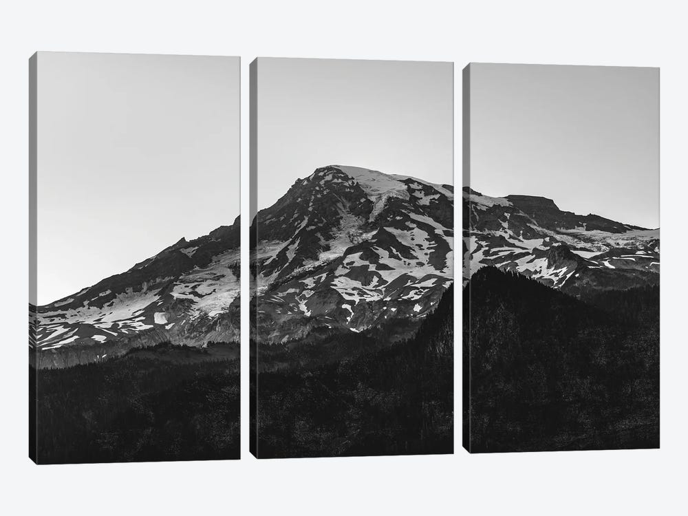 Mount Rainier National Park Black And White by Nature Magick 3-piece Canvas Wall Art
