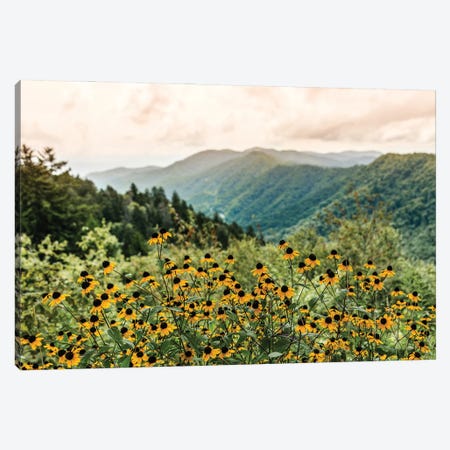 Great Smoky Mountain National Park Wildflowers Canvas Print #MGK533} by Nature Magick Canvas Artwork