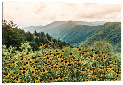 Great Smoky Mountain National Park Wildflowers Canvas Art Print - Mountains Scenic Photography