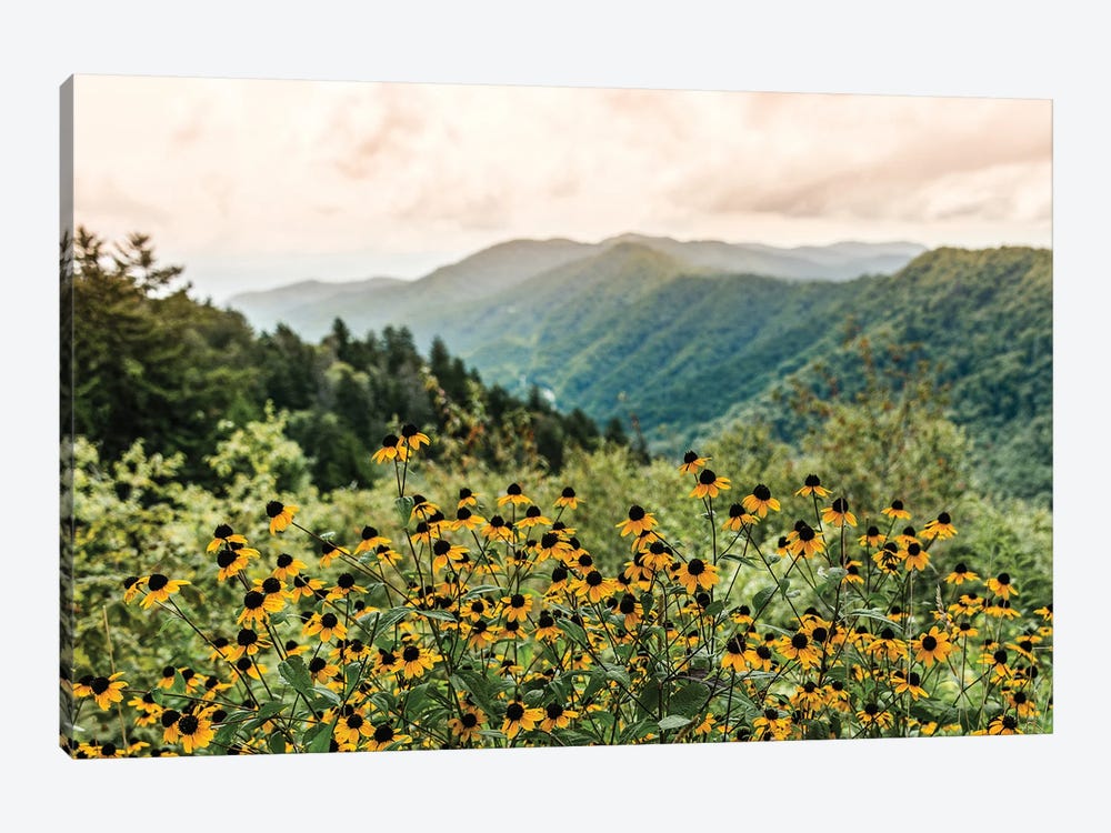 Great Smoky Mountain National Park Wildflowers by Nature Magick 1-piece Canvas Art