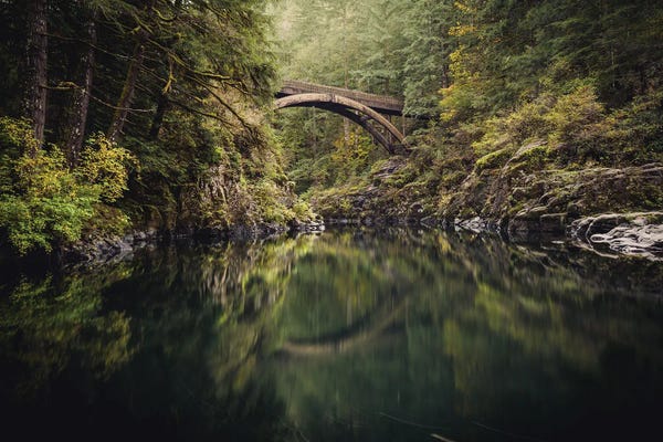 Nature Magick: Pacific Northwest Forest Bridge River Wanderlust by Nature Magick