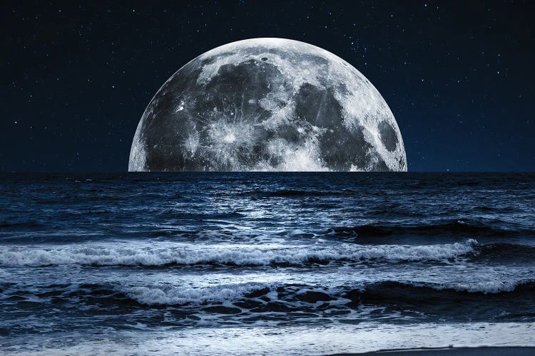 Summer Moonset Beach Adventure by Nature Magick wall art