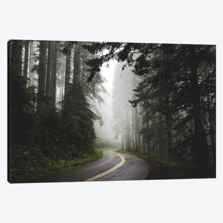 Foggy Forest Adventure Pacific Northwest Canvas Print #MGK541} by Nature Magick Canvas Print