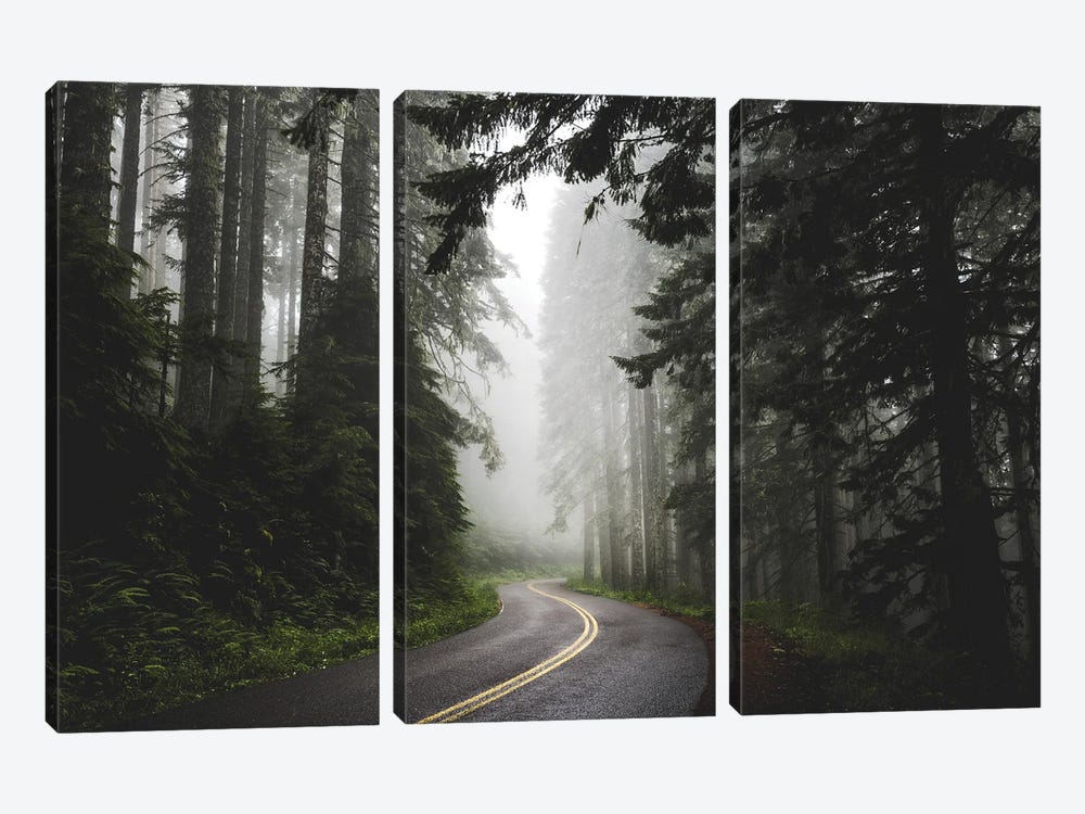 Foggy Forest Adventure Pacific Northwest by Nature Magick 3-piece Canvas Print