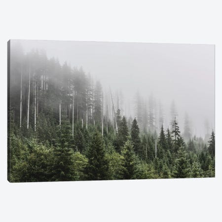 Pacific Northwest Forest Adventure Canvas Print #MGK542} by Nature Magick Canvas Art Print