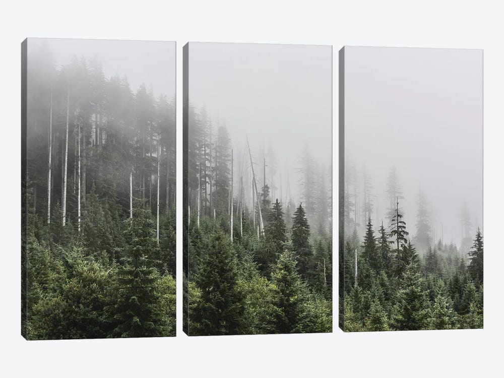 Pacific Northwest Forest Adventure by Nature Magick 3-piece Canvas Artwork