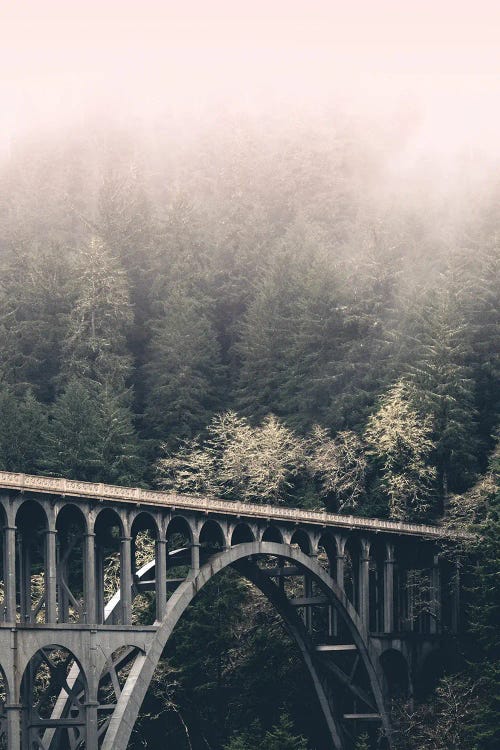 West Coast Wonder Forest Bridge by Nature Magick wall art