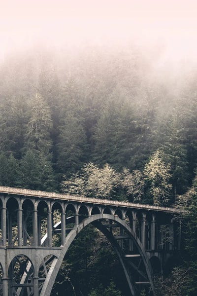 Oregon: West Coast Wonder Forest Bridge by Nature Magick