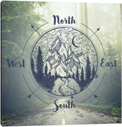 Foggy Forest Trees And Compass California Redwood National Park Canvas Art Print - Compasses