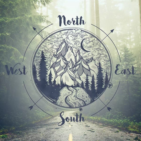 Compasses: Foggy Forest Trees And Compass California Redwood National Park by Nature Magick