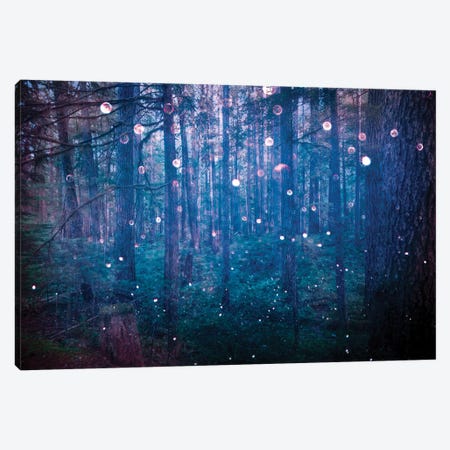 Adventure In The Woods Canvas Print #MGK56} by Nature Magick Canvas Artwork