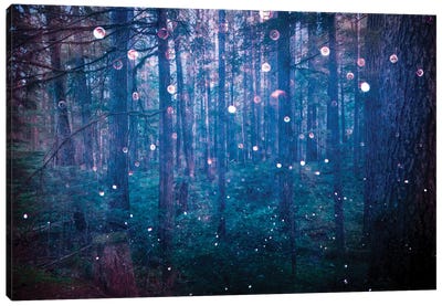 Adventure In The Woods Canvas Art Print - Nature Magick